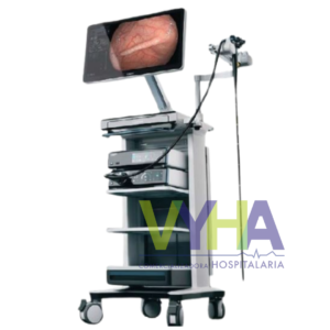 endoscopio eis 2000
